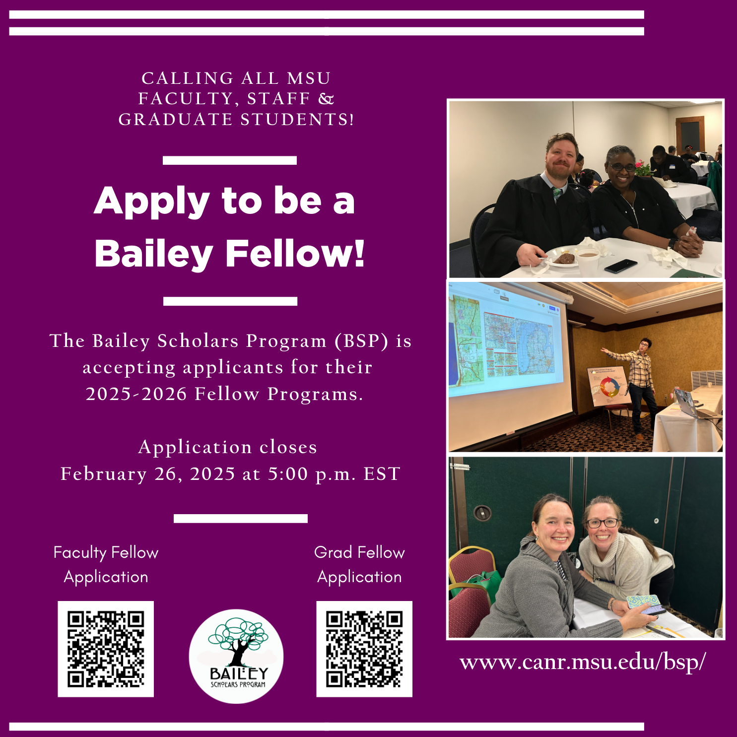 NEW BSP Faculty Fellow Recruitment.png